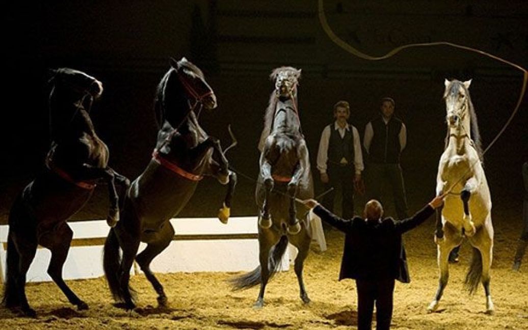 Іспанія, Севілья. Виступ коней на Іспанському міжнародному кінному ярмарку в Севільї. Ярмарок, на якому демонструють виключно чистокровних іспанських коней, працюватиме до 28 листопада. / © AFP