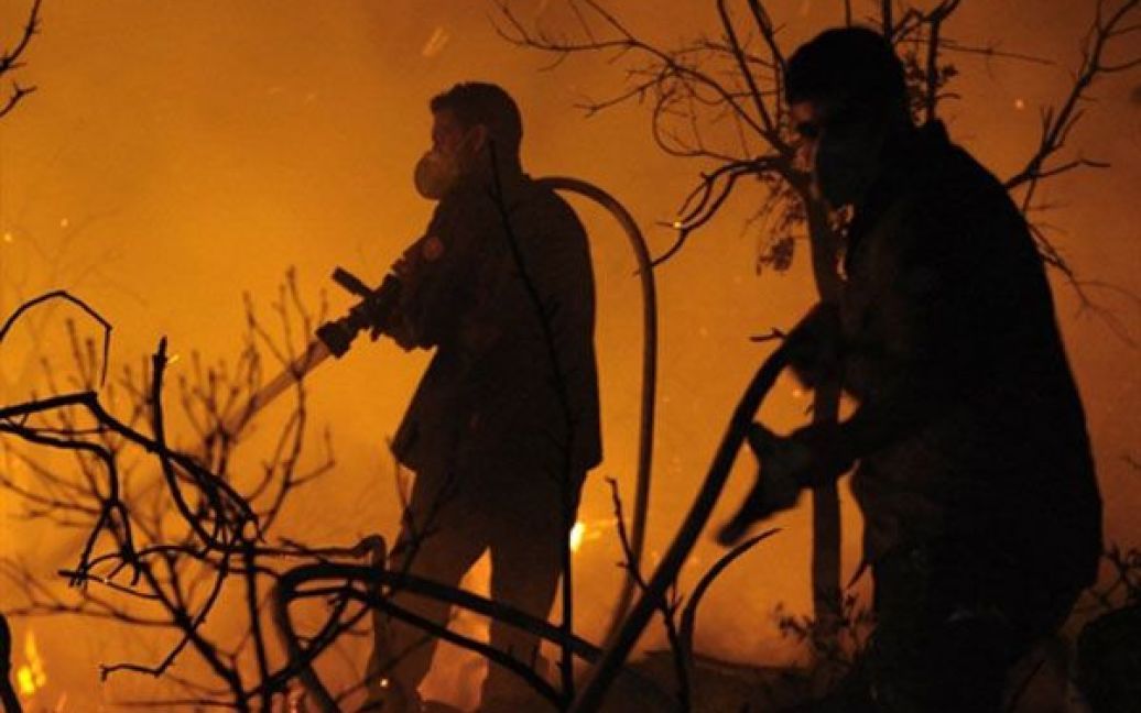 На півночі Ізраїлю сталась лісова пожежа, в якій загинули не менше 40 людей. / © AFP