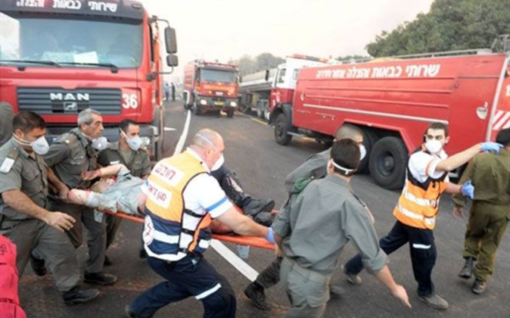 На півночі Ізраїлю розпочалася лісова пожежа, в якій загинули не менше 40 людей. / © AFP
