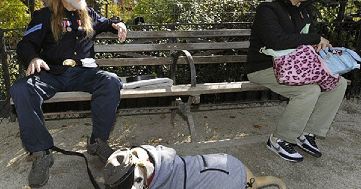 В центрі Нью-Йорка пройшов 20-й собачий парад "Halloween Dog Parade", в якому взяли участь більше 500 собак. / © AFP