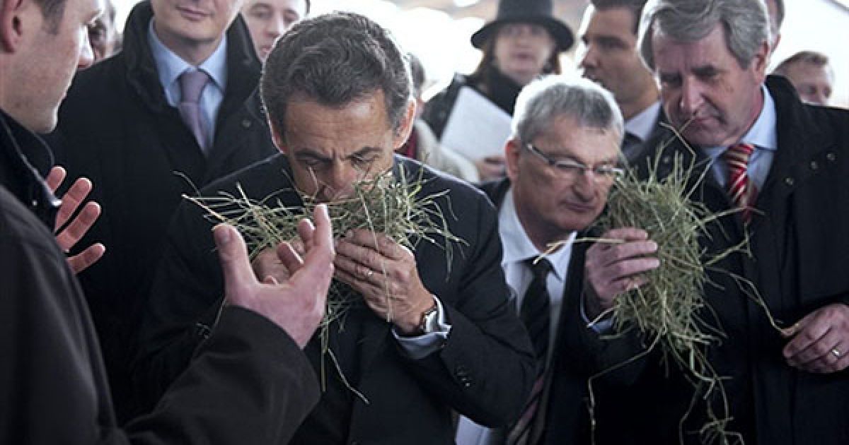 Франція, Міттельхаузен. Президент Франції Ніколя Саркозі та молодший міністр, відповідальний за місцеві установи, Філіп Рішер нюхають сіно під час візиту на ферму у Міттельхаузені, східна Франція. / © AFP