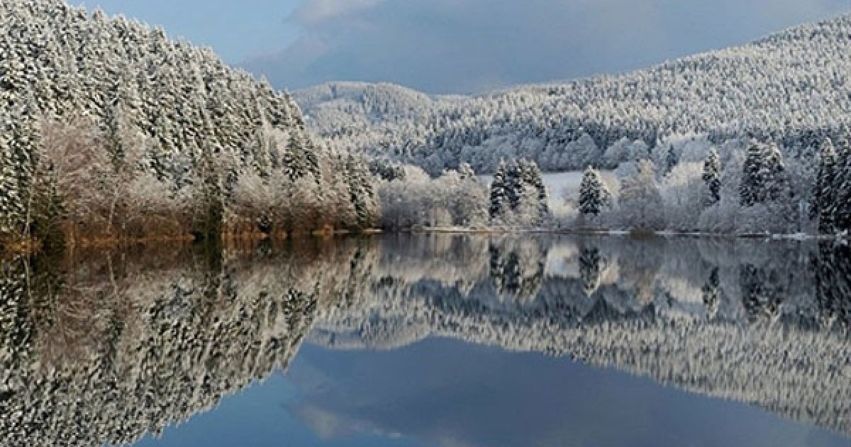 Німеччина. Засніжений краєвид відбивається у озері поблизу північного
німецького міста Зонненберг. / © AFP