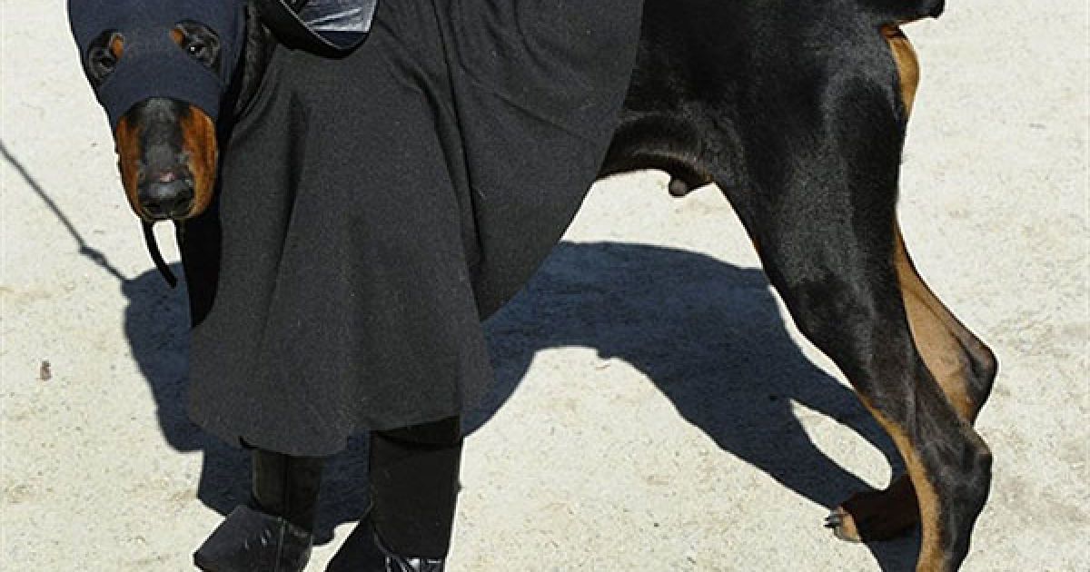 В центрі Нью-Йорка пройшов 20-й собачий парад "Halloween Dog Parade", в якому взяли участь більше 500 собак. / © AFP