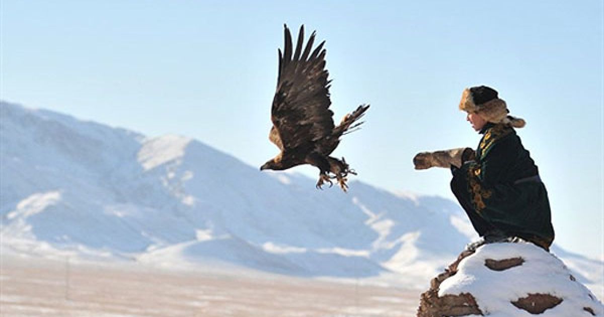 Казахстан, Нура. Казахський беркутчі (мисливець з орлом) запускає свого птаха під час традиційного свята полювання у місті Нура. / © AFP