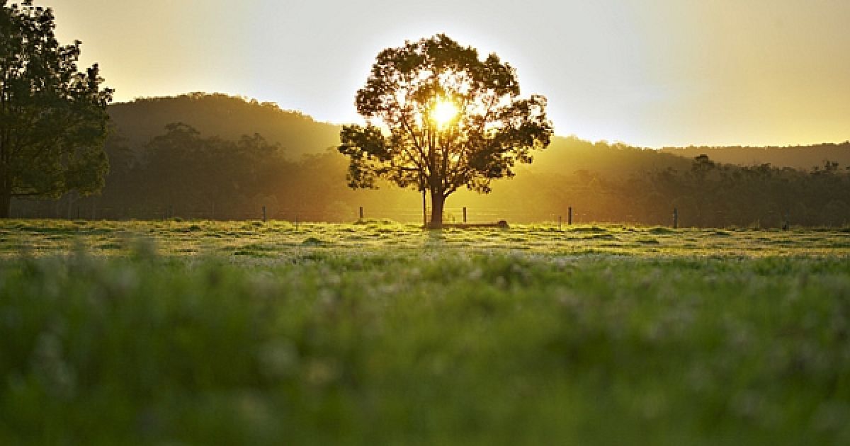 Завтра в Україні прохолодно і майже без опадів