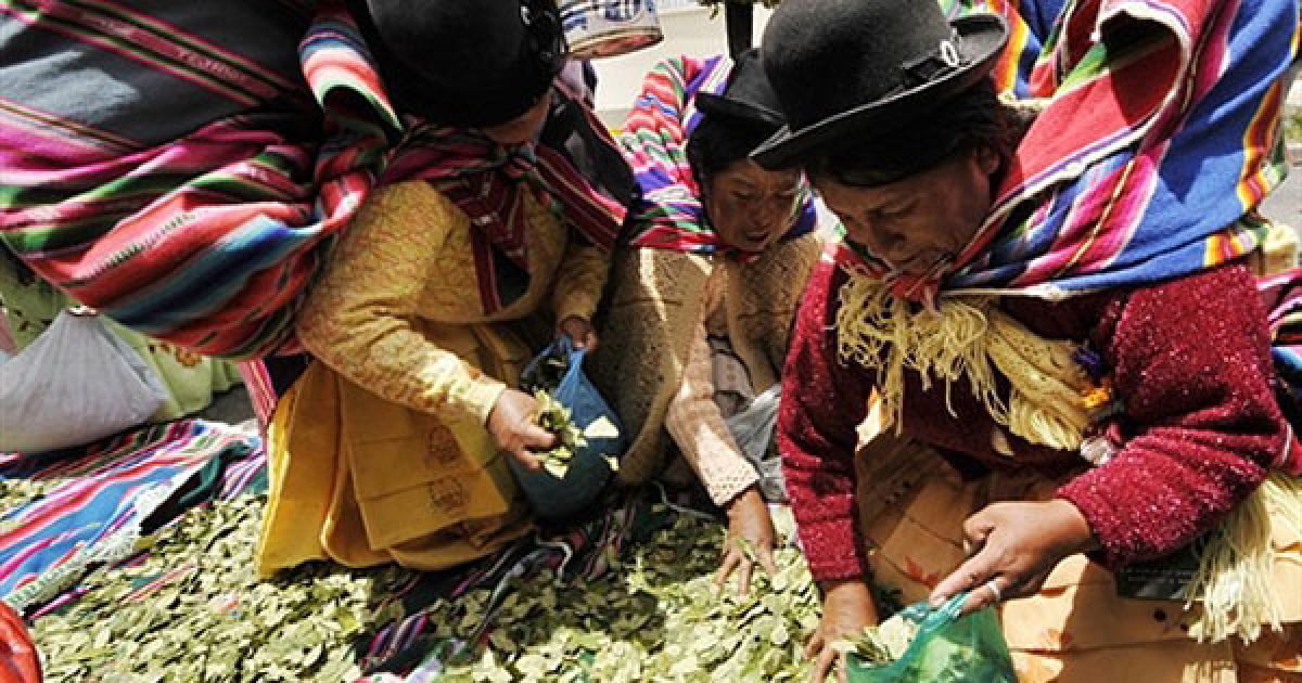 Болівія, Ла-Пас. Жінки з племені аймара жують листя коки перед посольством США у Болівії. В Болівії провели День жування коки на підтримку болівійського клопотання до Економічної і Соціальної Ради Об'єднаних Націй щодо декриміналізації жування листя коки. / © AFP