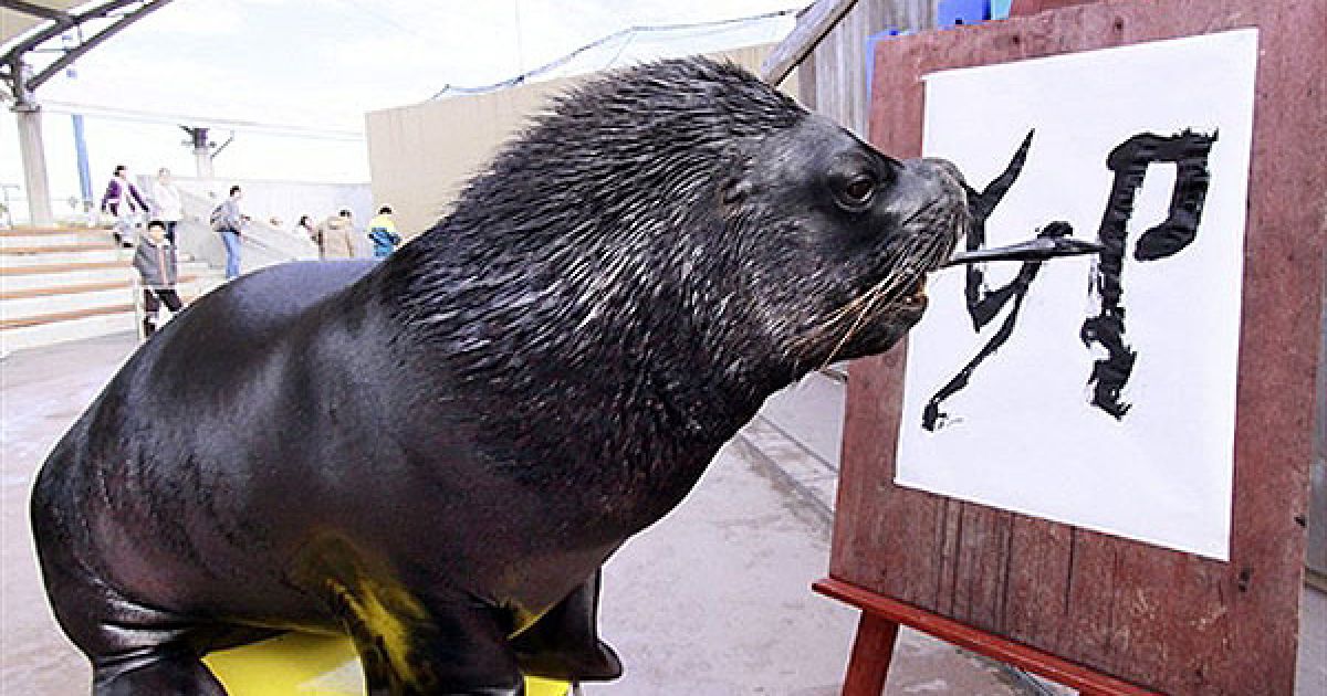 Японія, Йокогама. Восьмирічний морський лев Лео пише слово "кролик" китайськими ієрогліфами під час новорічного свята у акваріумі Hakkeijima Sea Paradise у Йокогамі. / © AFP