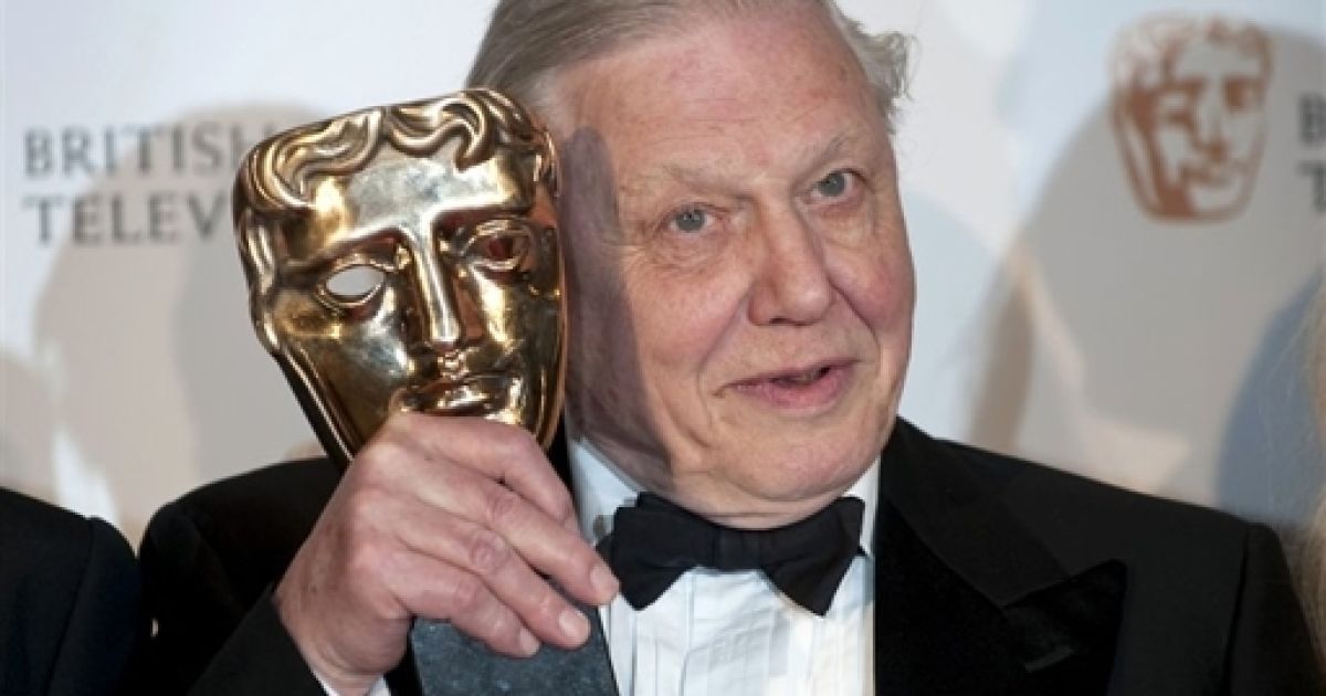 Оголошено номінантів на BAFTA