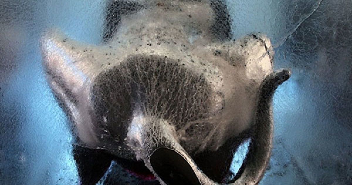 Мексика, Гвадалахара. Брила льоду із тілом мексиканської собаки на прізвисько "Ксоло" всередині, виставлена у Гвадалахарі. Ця інсталяція була створена французьким вуличним театром "Королівський люкс", який готує виставу гігантського лялькового театру, присвячену столітньому ювілею мексиканської революції. / © AFP