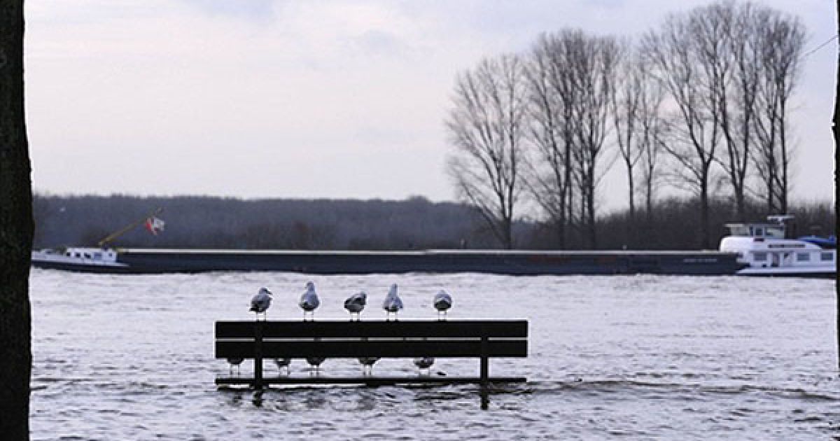 У Чехії, Німеччині, Бельгії різко підвищився рівень води у річках Ельбі, Лабі, Влтаві, вийшли з берегів Рейн і Мозель, і вода продовжує підніматися. / © AFP