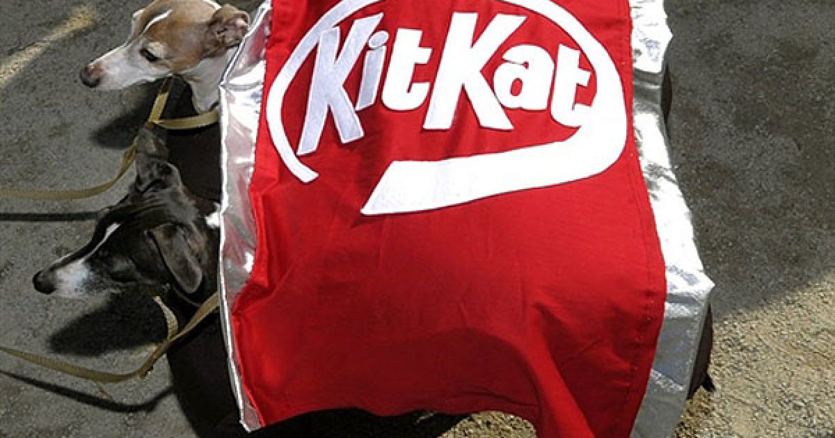 В центрі Нью-Йорка пройшов 20-й собачий парад "Halloween Dog Parade", в якому взяли участь більше 500 собак. / © AFP