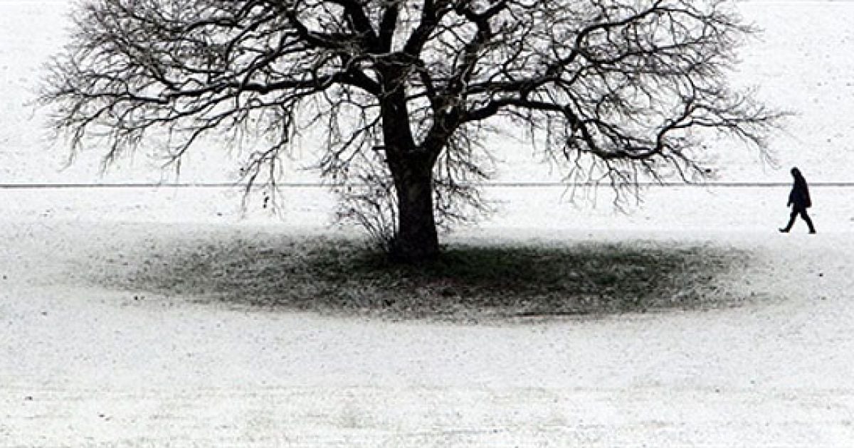 Німеччина, Альтдорф. Чоловік гуляє засніженим полем поблизу південного німецького міста Альтдорф. / © AFP