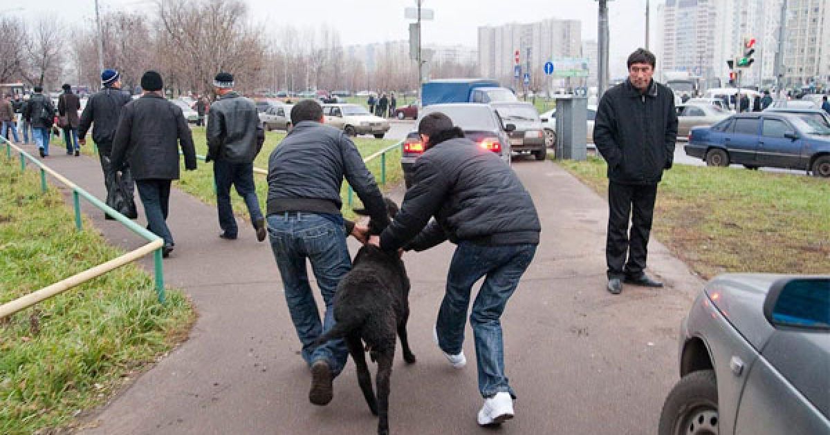 Свято Курбан-Байрам у Москві / © ottenki-serogo.livejournal.com