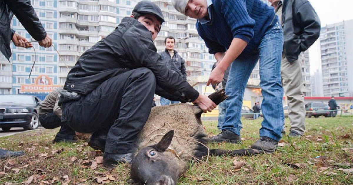 Свято Курбан-Байрам у Москві / © ottenki-serogo.livejournal.com
