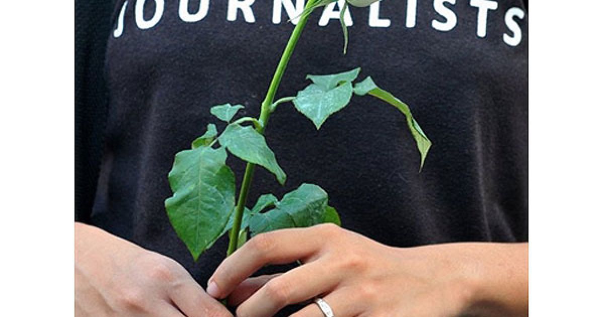 Філіппіни, Маніла. Студенти університету журналістики провели у Манілі акцію пам&rsquo;яті на згадку про 57 людей, яких було вбито 23 листопада 2009 під час різанини у провінції Мінданао на півдні Філіппін. Більше 30 з жертв трагедії були журналістами. / © AFP