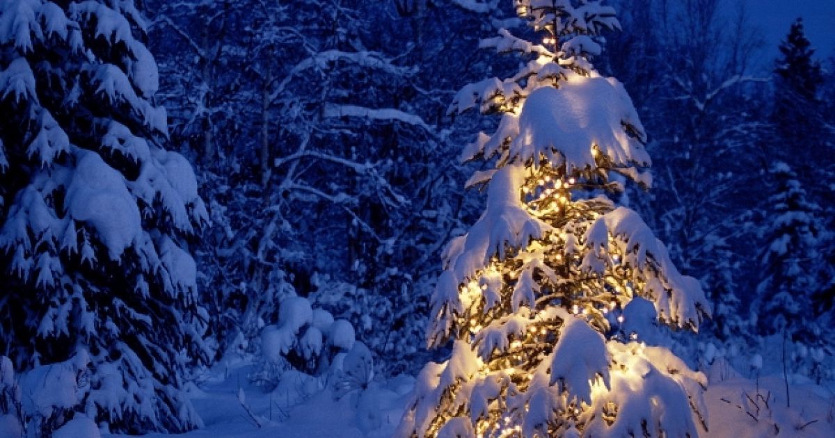 Ілюстрація