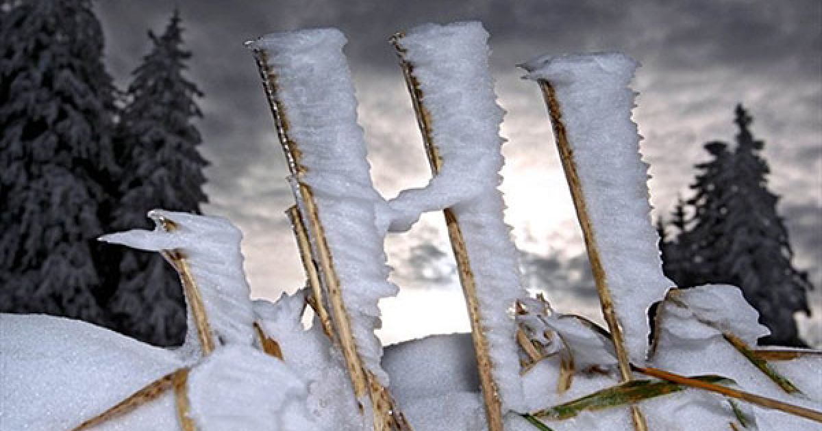 Німеччина. Сніг у південно-західній Німеччині. Метеорологи прогнозують зниження денних температур і початок снігопадів. / © AFP