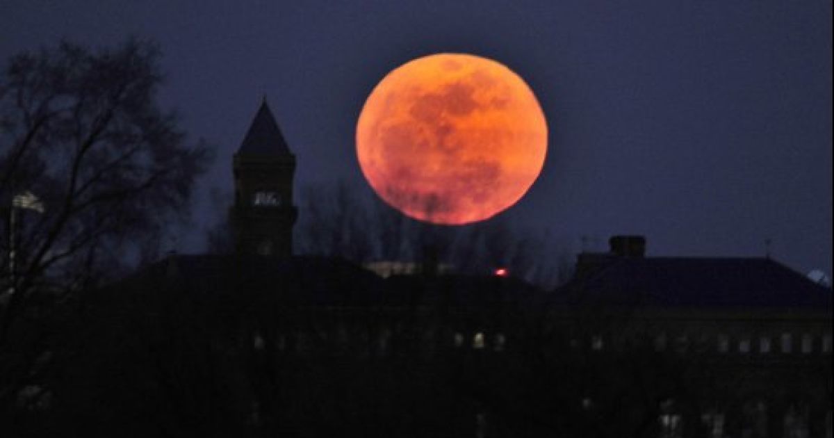 Вперше за останні 19 років Місяць наблизився до Землі на рекордно близьку відстань &mdash; 356 577 км. / © AFP