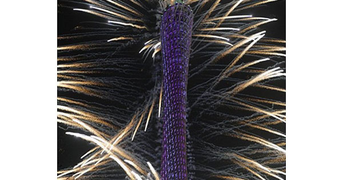 Урочиста церемонія відкриття 16-их Азіатських ігор у китайському місті Гуанчжоу. / © AFP