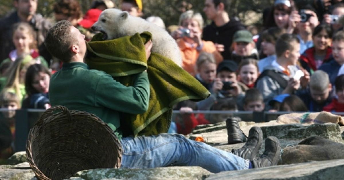У 2007 році Кнут набув всесвітню популярність / © AFP