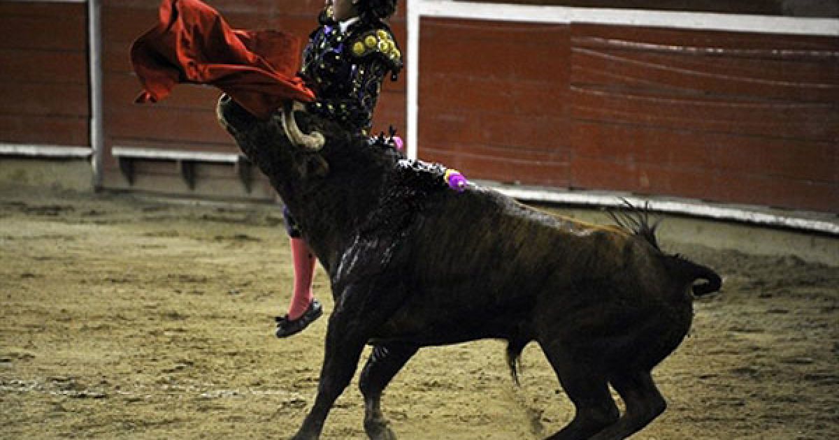 Колумбія. Мексиканська 15-річна жінка-тореадор Паола Сан-Роман потрапила на роги бика під час кориди на арени Канавералехо у місті Калі. / © AFP