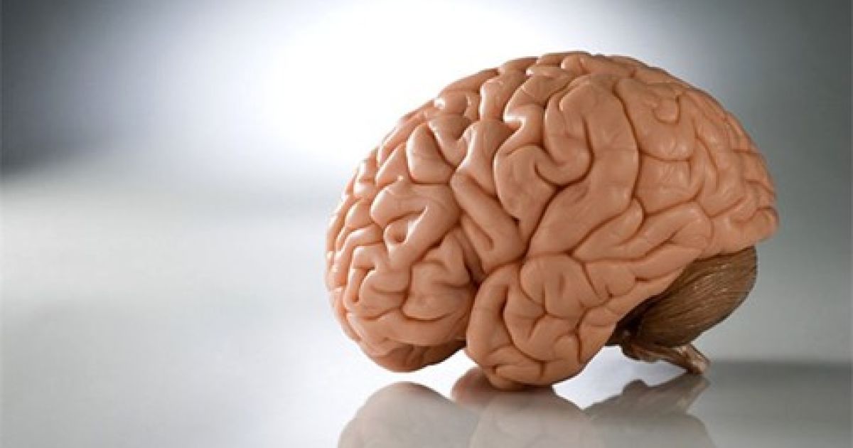 Мозок руйнується від життя в місті