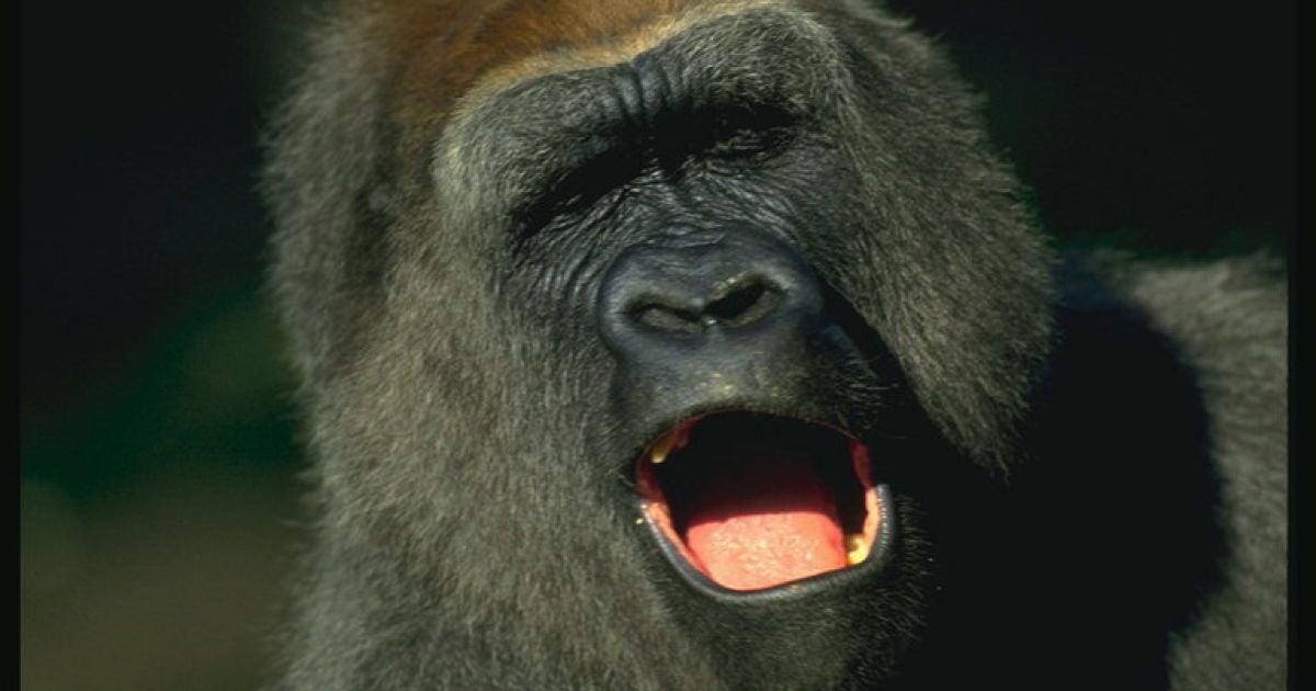 Ілюстрація