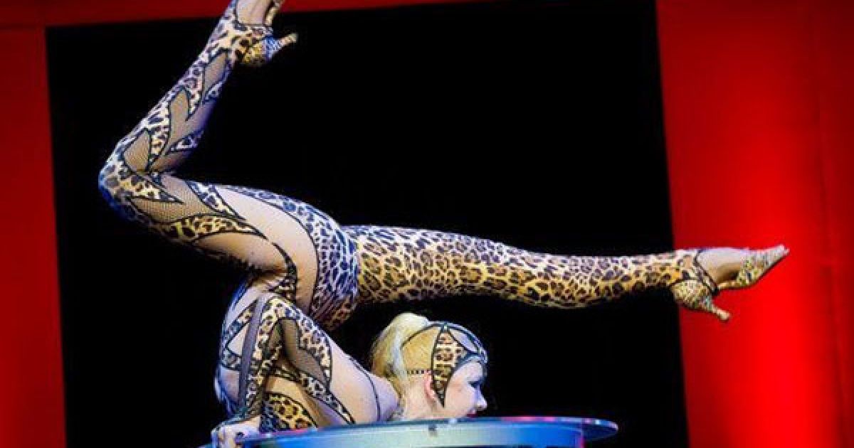 "Перлиною" виставки став виступ 24-річної росіянки Злати, "жінки-змії".