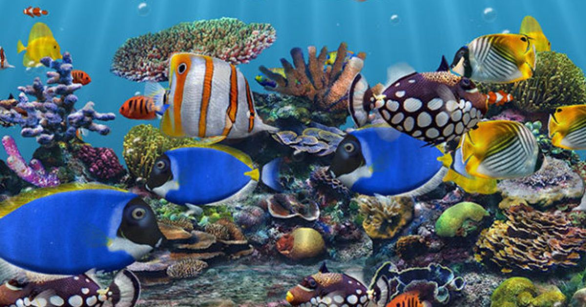 Ілюстрація