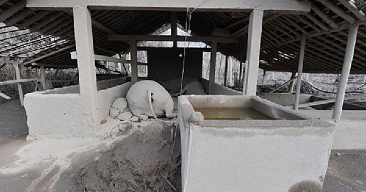 Виверження вулкана Мерапі_37 / © AFP