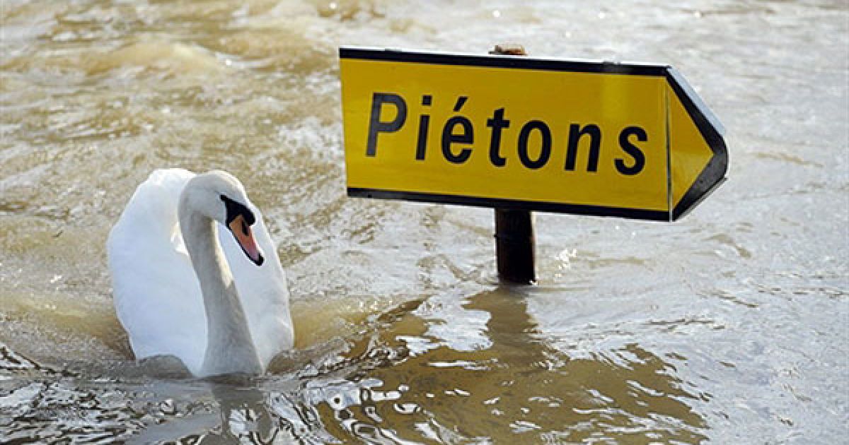 Рівень води у європейських річках різко підвищився через танення снігу, викликаного різким потеплінням. / © AFP