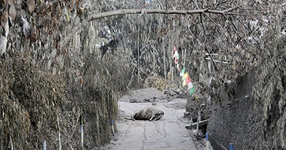 Виверження вулкана Мерапі_36 / © AFP