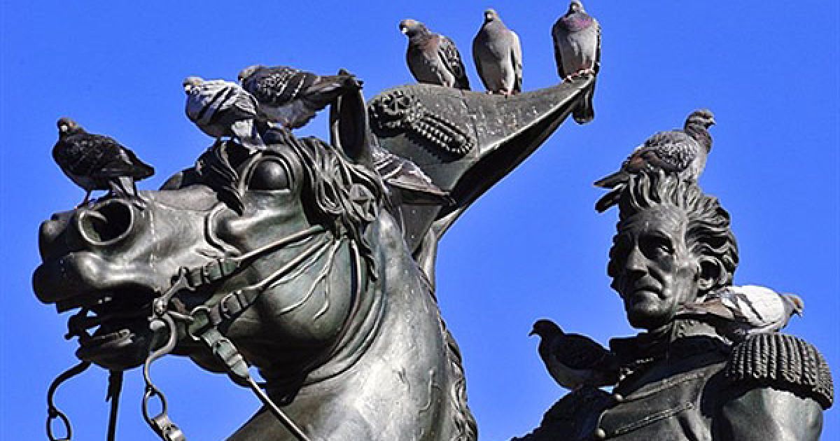 США, Вашингтон. Голуби сидять на статуї колишнього президента США Ендрю Джексона у парку Лафайетт у Вашингтоні, округ Колумбія. / © AFP