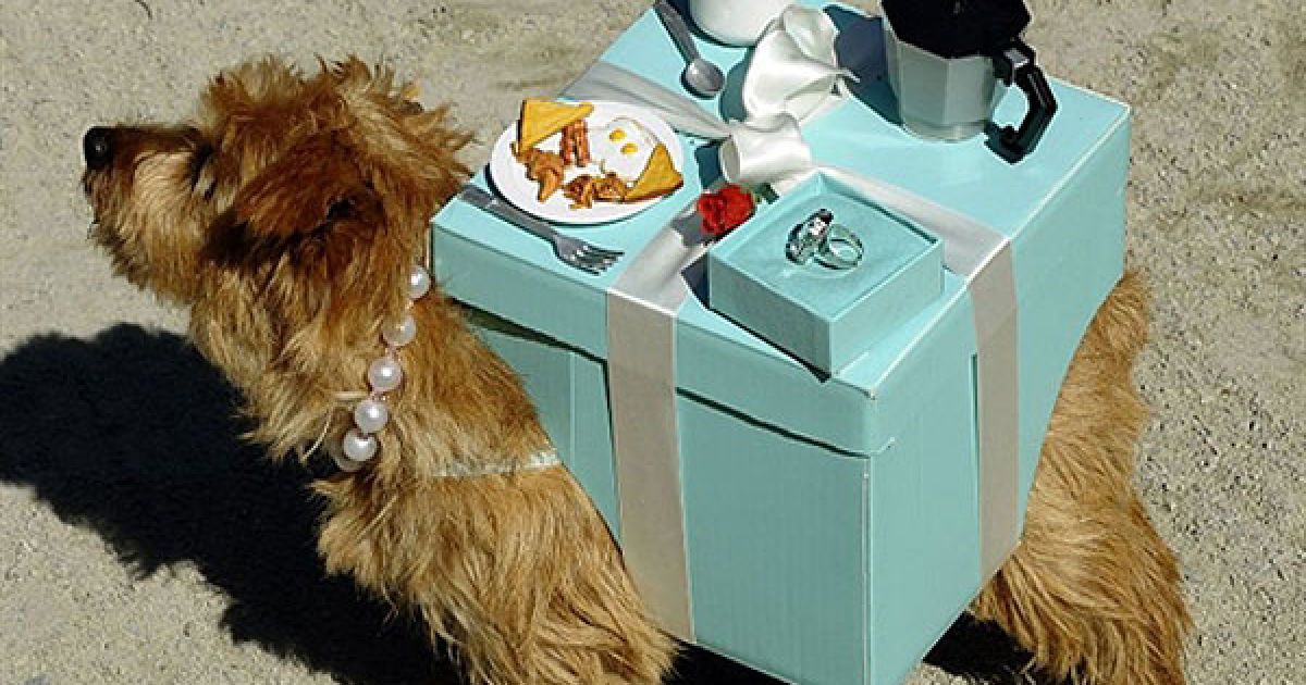 В центрі Нью-Йорка пройшов 20-й собачий парад "Halloween Dog Parade", в якому взяли участь більше 500 собак. / © AFP