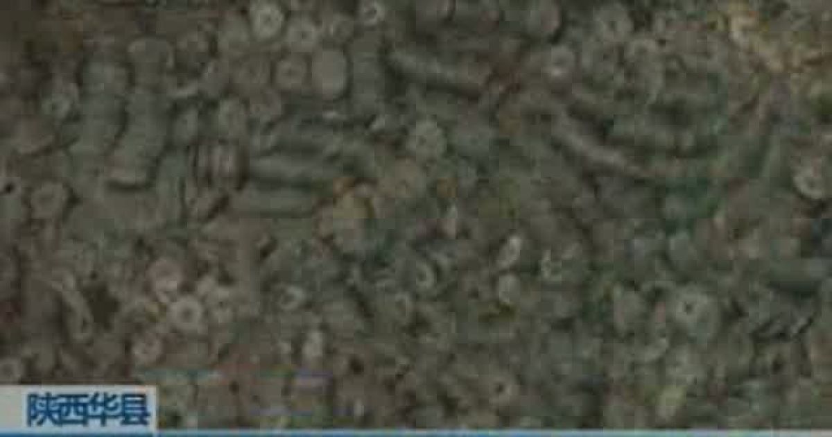 Китайські будівельники знайшли 600-кілограмовий грошовий скарб