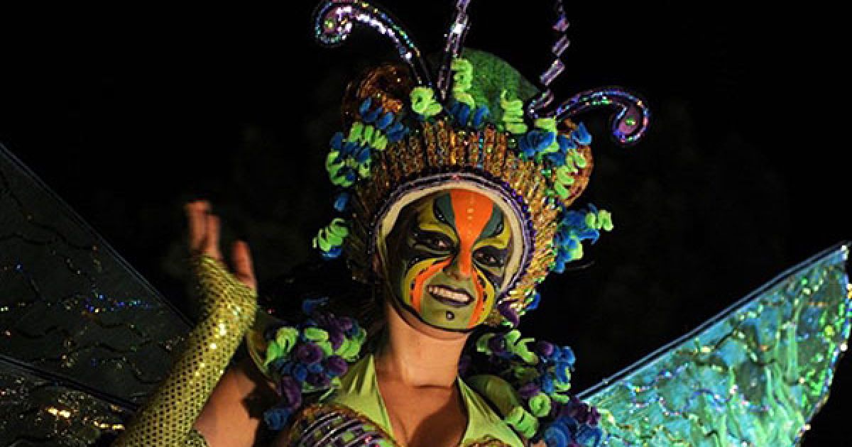 У місті Сан-Хосе (Коста-Ріка) провели Light Festival Parade, який відкриває різдвяні святкування. / © AFP