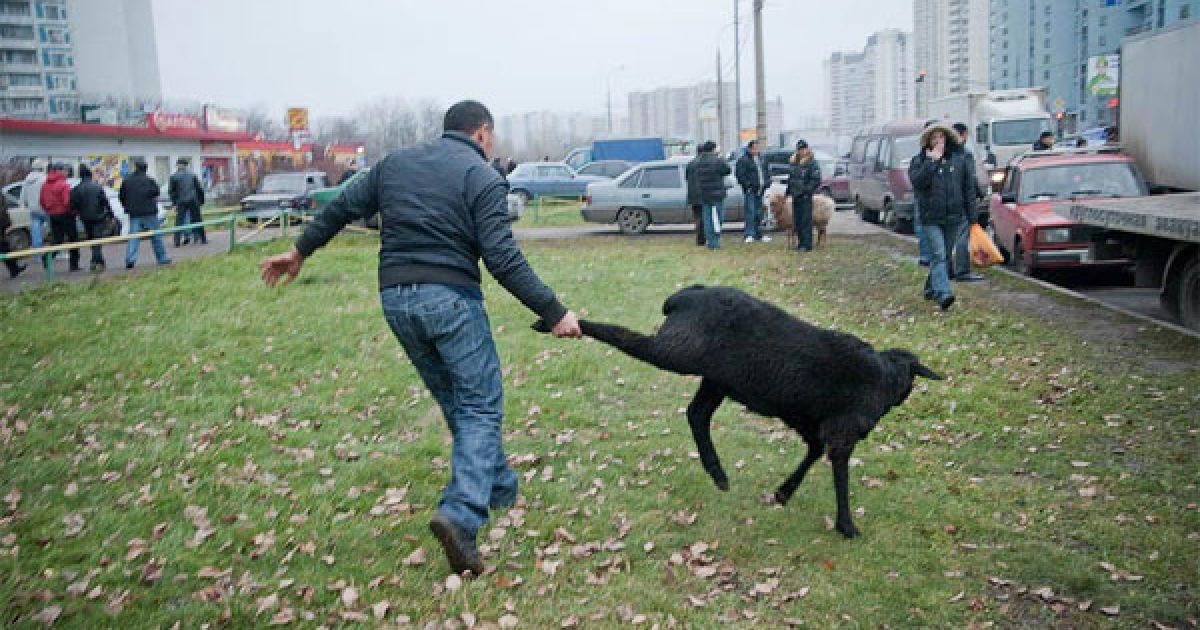 Свято Курбан-Байрам у Москві / © ottenki-serogo.livejournal.com