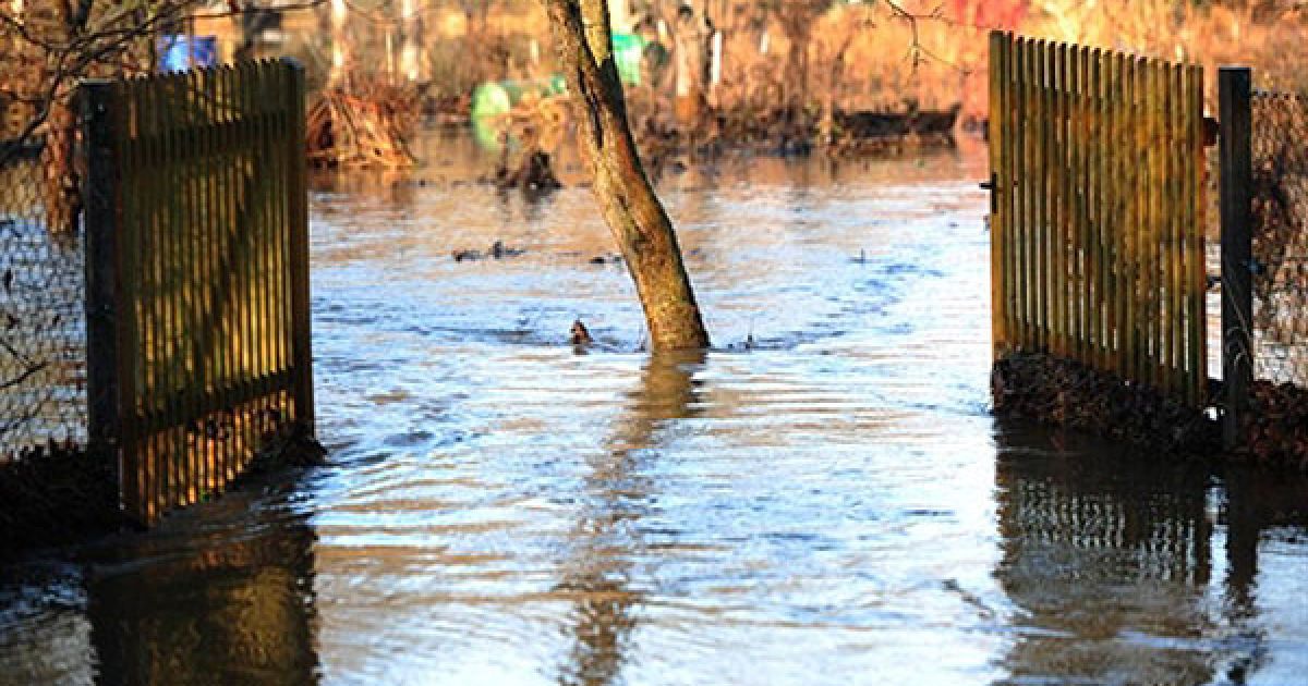 У Чехії, Німеччині, Бельгії різко підвищився рівень води у річках Ельбі, Лабі, Влтаві, вийшли з берегів Рейн і Мозель, і вода продовжує підніматися. / © AFP