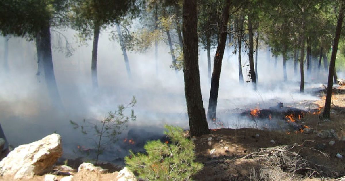 Через спеку палає і на півночі Іспанії
