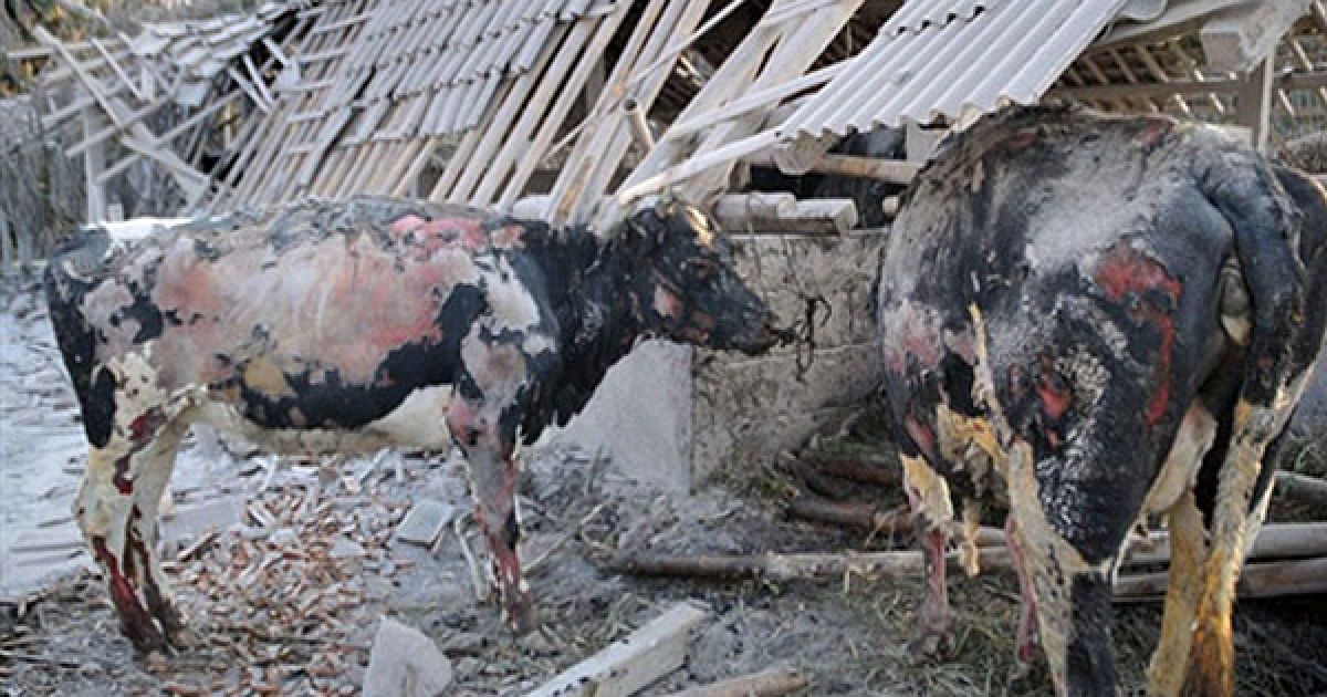 Попіл вкрив місто сантиметровим сірим шаром. / © AFP