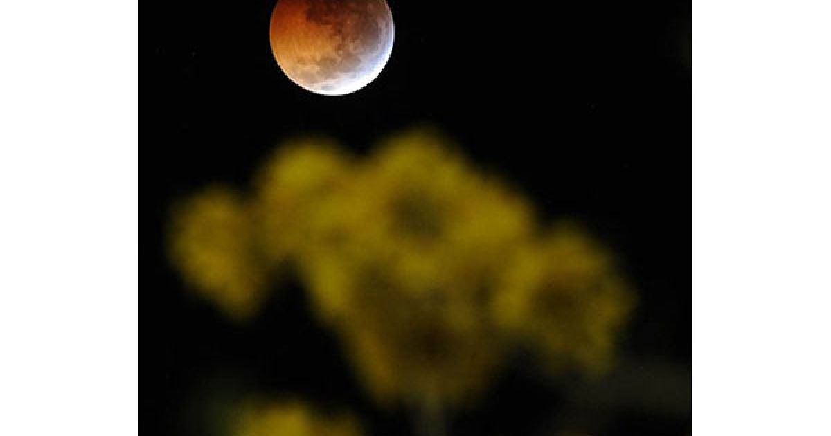 Затемнення від початку до кінця змогли побачити мешканці Північної і Центральної Америки, островів Тихого океану, Чукотки і Камчатки, Ісландії та Гренландії. / © AFP
