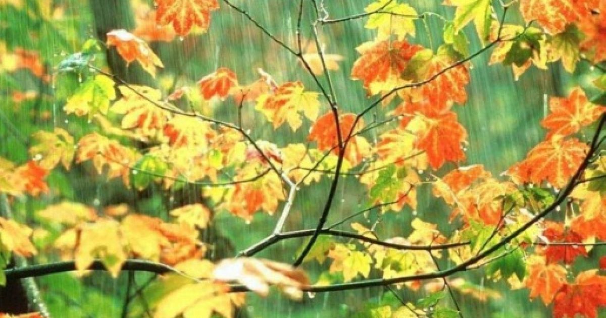 Ілюстрація