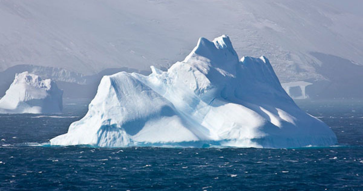 У стародавній Антарктиді була рослинність - вчені
