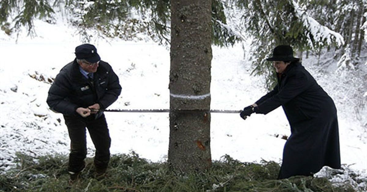 Норвегія, Осло. Мер Осло Фабіан Станг (ліворуч) і лорд-мер Вестмінстера, радник Джудіт Уорнер, пиляють ялинку, яку Норвегія подарує Лондону. / © AFP