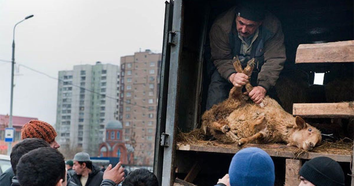 Свято Курбан-Байрам у Москві / © ottenki-serogo.livejournal.com