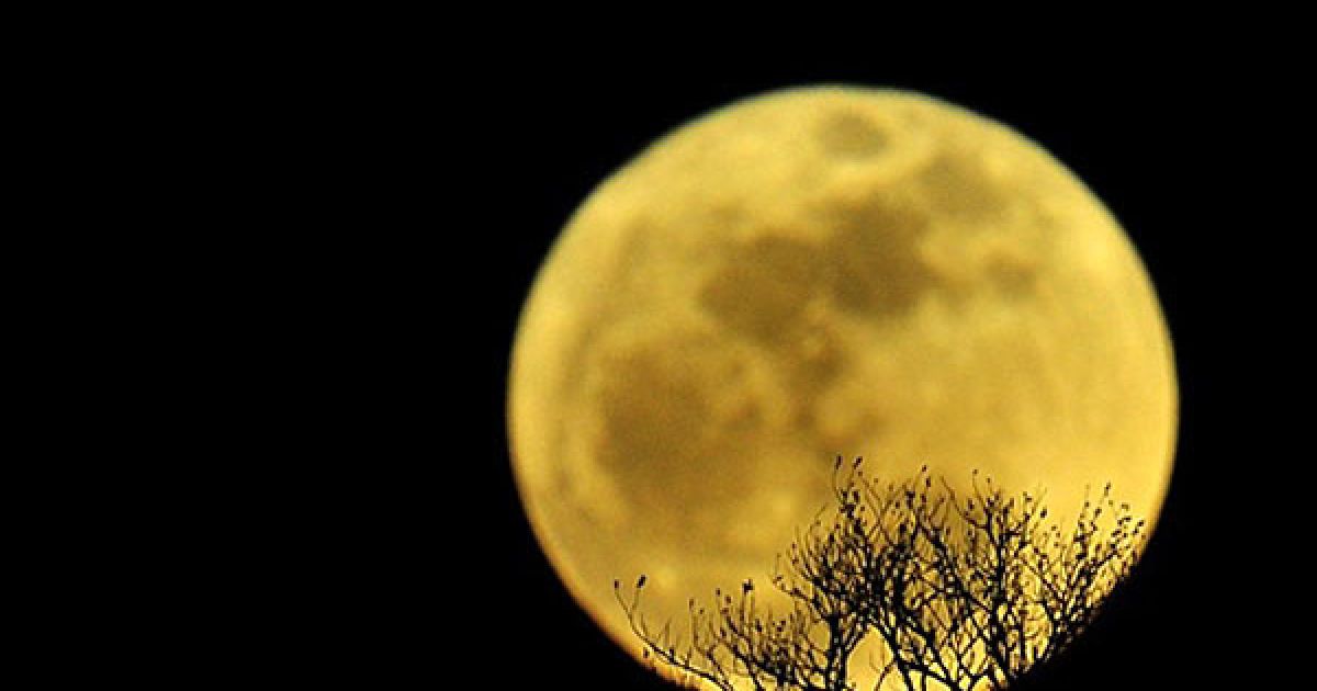 Вперше за останні 19 років Місяць наблизився до Землі на рекордно близьку відстань &mdash; 356 577 км. / © AFP