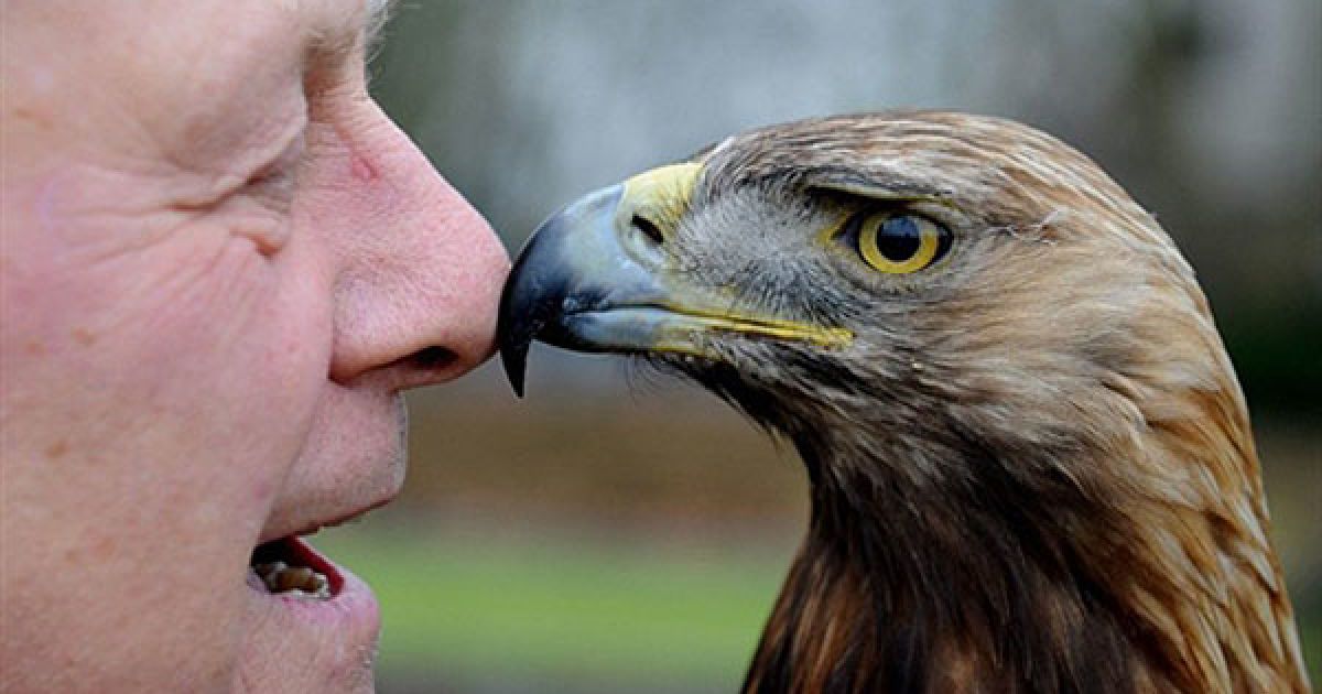 Німеччина, Дортмунд. Хайнц Декерс позує із золотим орлом у Дортмунді, Західна Німеччина, де стартує ярмарок полювання та риболовлі "Jagd & Hund". / © AFP