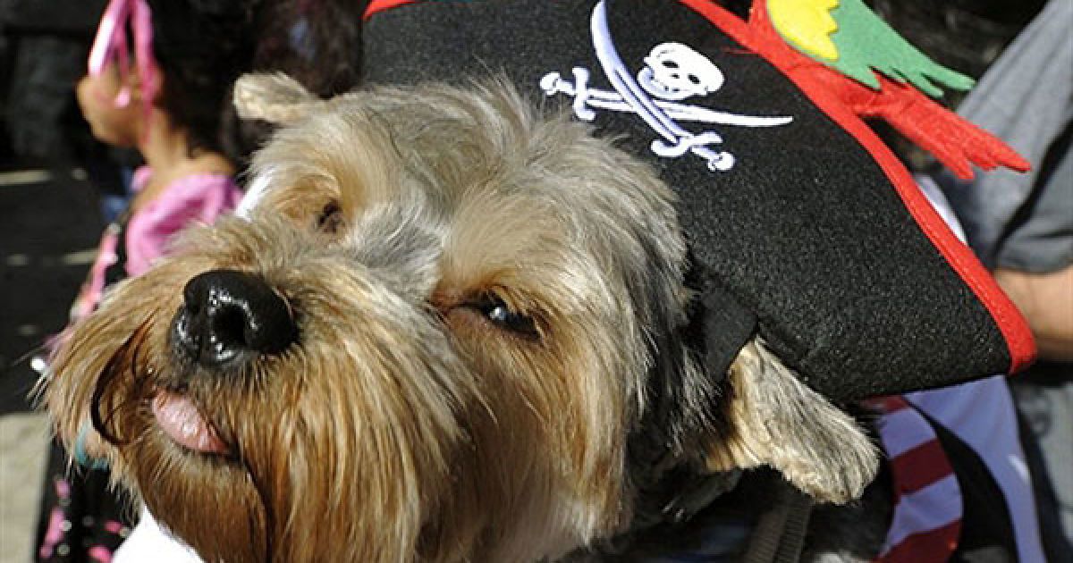 В центрі Нью-Йорка пройшов 20-й собачий парад "Halloween Dog Parade", в якому взяли участь більше 500 собак. / © AFP