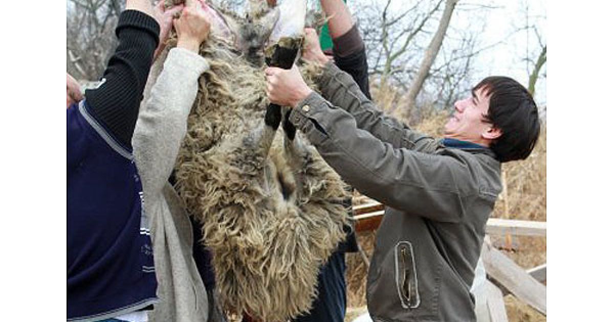 Курбан-Байрам є символічним святом об'єднання віруючих, незалежно від національності та соціального становища. / © УНІАН