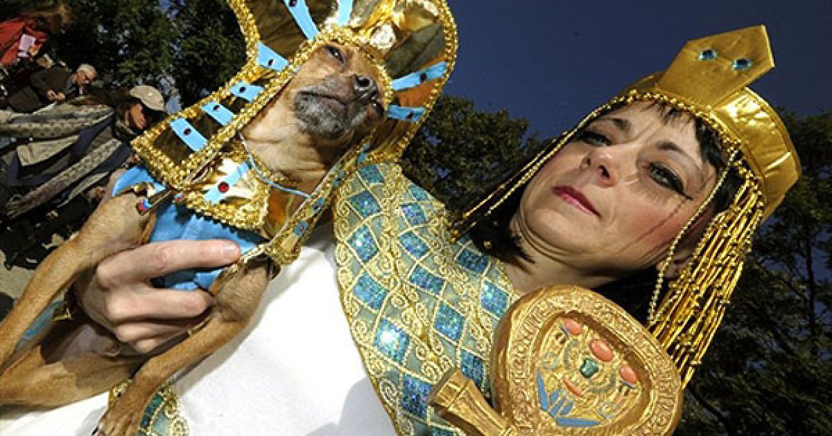 В центрі Нью-Йорка пройшов 20-й собачий парад "Halloween Dog Parade", в якому взяли участь більше 500 собак.